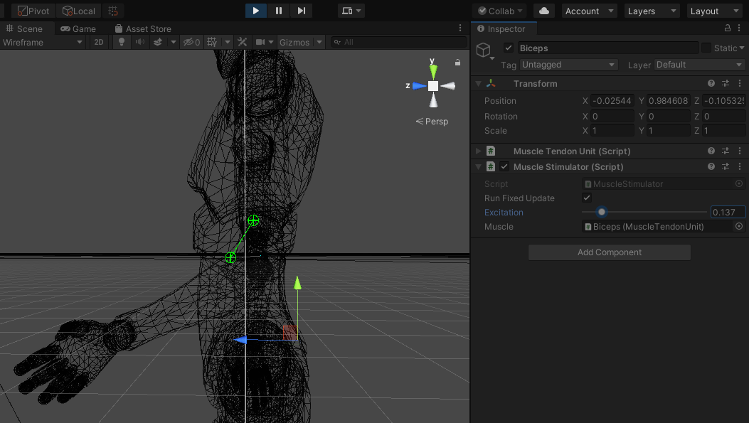 Screenshot of Biceps being activated in Scene view